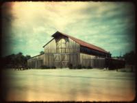 Barn�